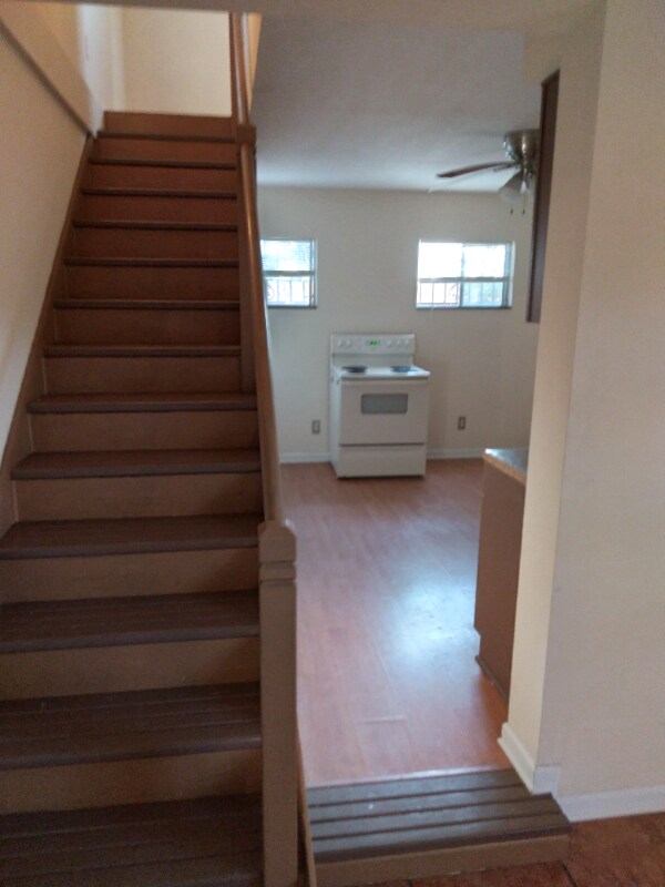Building Photo - 4455 S Padre Island Dr