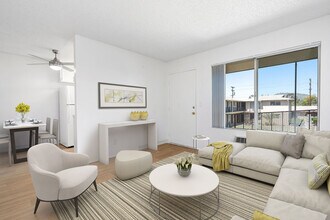 Shady Lane Apartments photo'