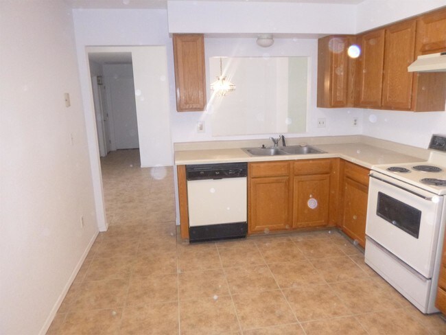 Foto del edificio - 2411-P2411 N Palo Hacha Dr