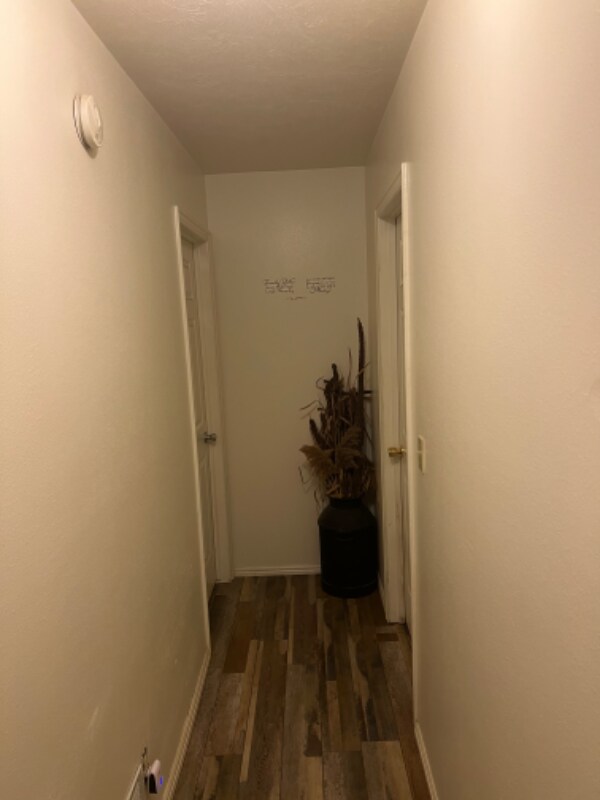 Building Photo - 4103 Aschli Ln