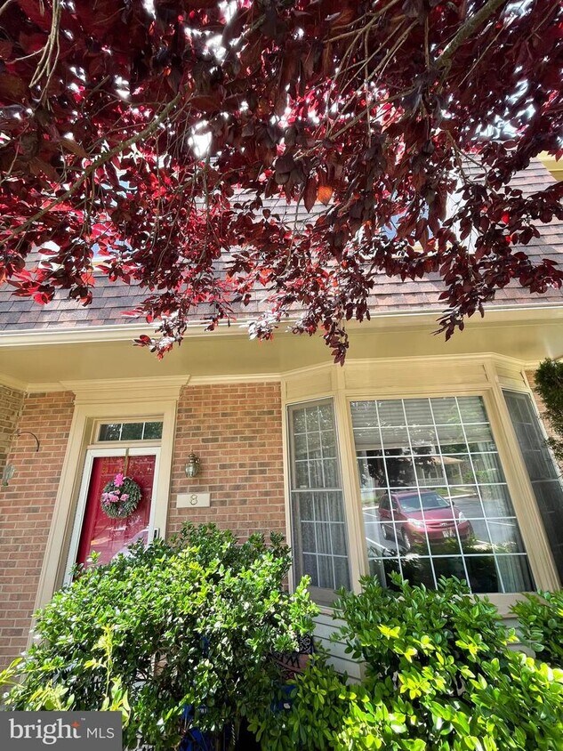 8 Hickory Hill Ct, Silver Spring, MD 20906 Townhome Rentals in Silver