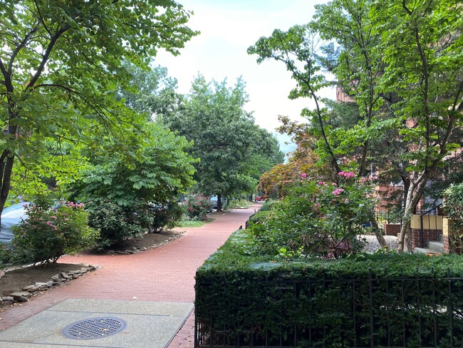 Quiet, wide avenue between Logan and Thomas Circles. - 1313 Vermont Ave NW