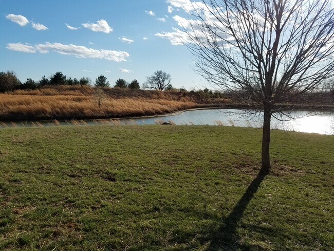 Foto del edificio - 2965 County Road 638