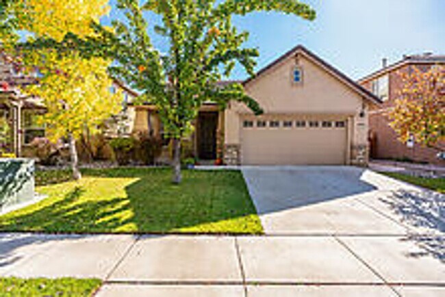 Building Photo - 3 Bedroom single level in Wingfield Springs