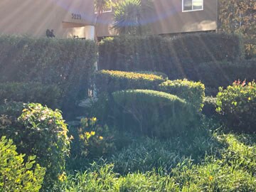 Building Photo - 3229 Glendora Dr