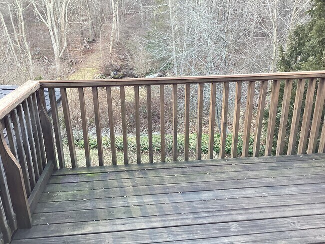 Foto del edificio - 40 Chestnut Hill Rd