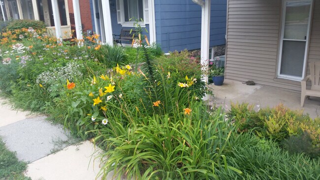 Landscaping - 2071 Druid Park Dr