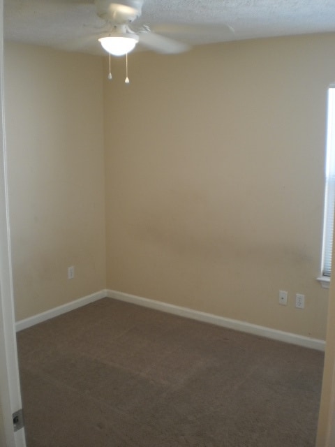 Building Photo - 11717 Cabana Ct