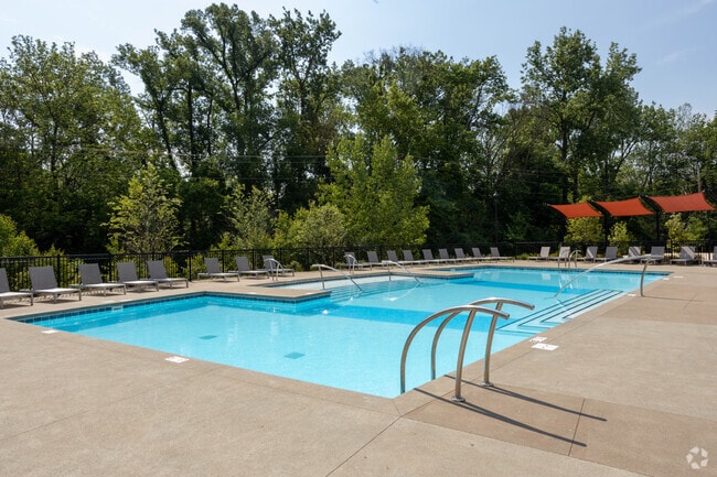 Pool - Timbers