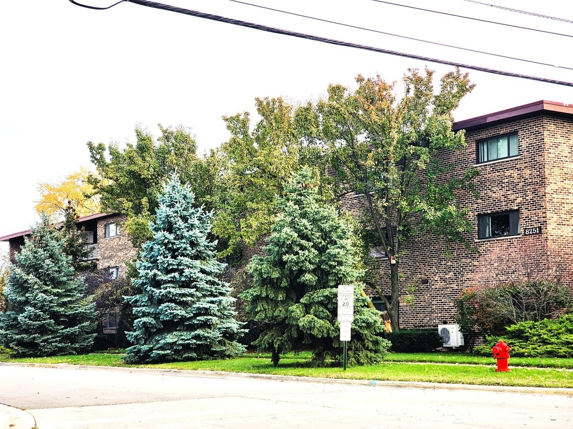 8251 S Roberts Rd Unit 2B, Bridgeview, IL 60455 Condo for Rent in Bridgeview, IL