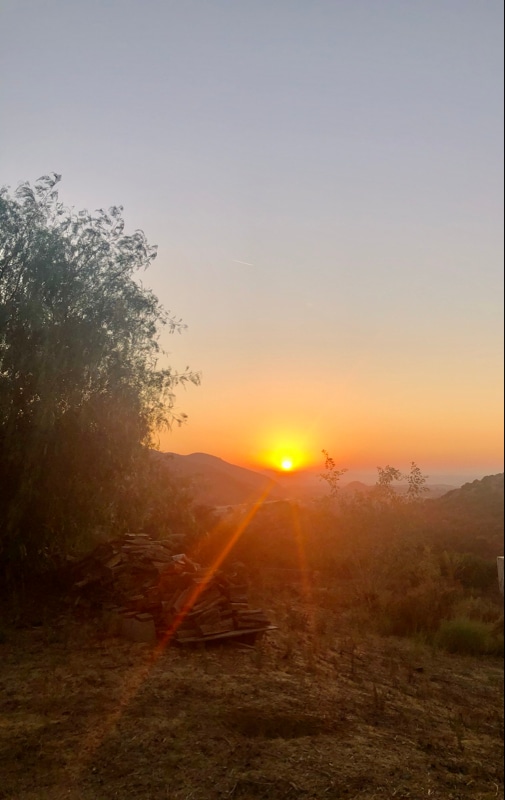 Building Photo - 9874 Chocolate Summit Dr