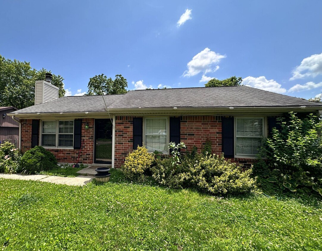 Primary Photo - Lovely 3 BR House in South Lexington! New ...