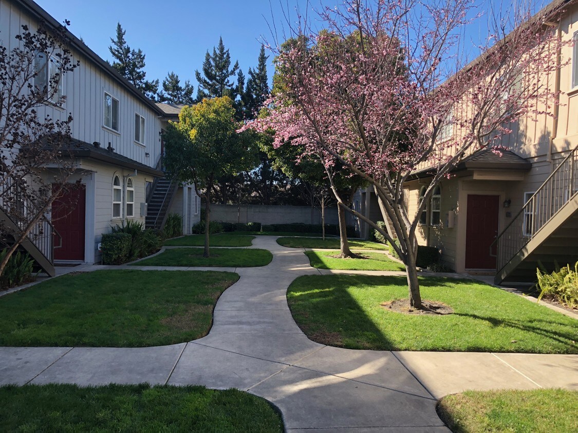 8905 Davis Rd, Stockton, CA 95209 Townhouse for Rent in Stockton, CA