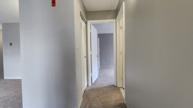 Building Photo - 66 Beach Point Pl