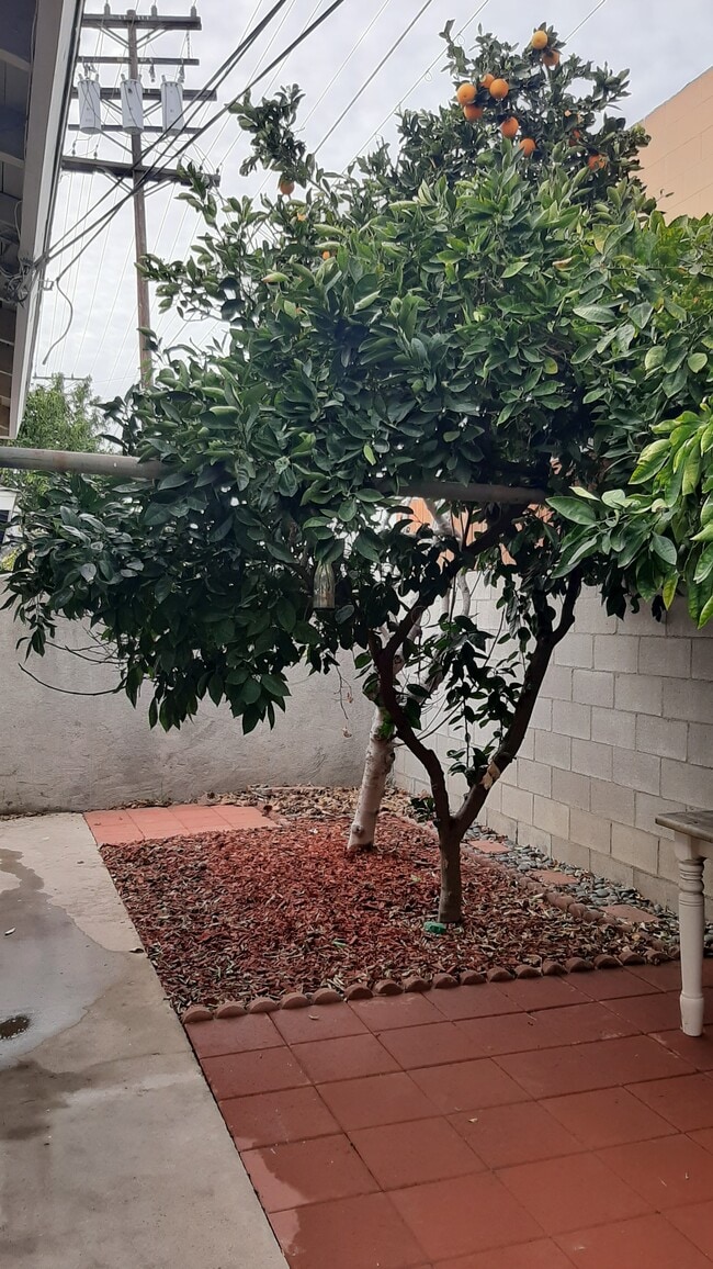 Naranjo - 455 W Elk Ave