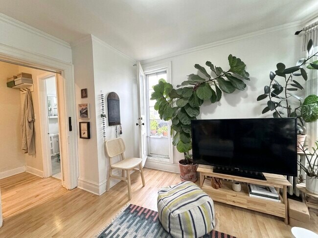 Photo du bâtiment - 2 Chicora Ave