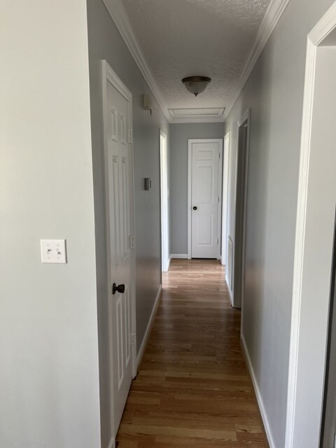 Foto del edificio - 213 Holcomb Path Rd
