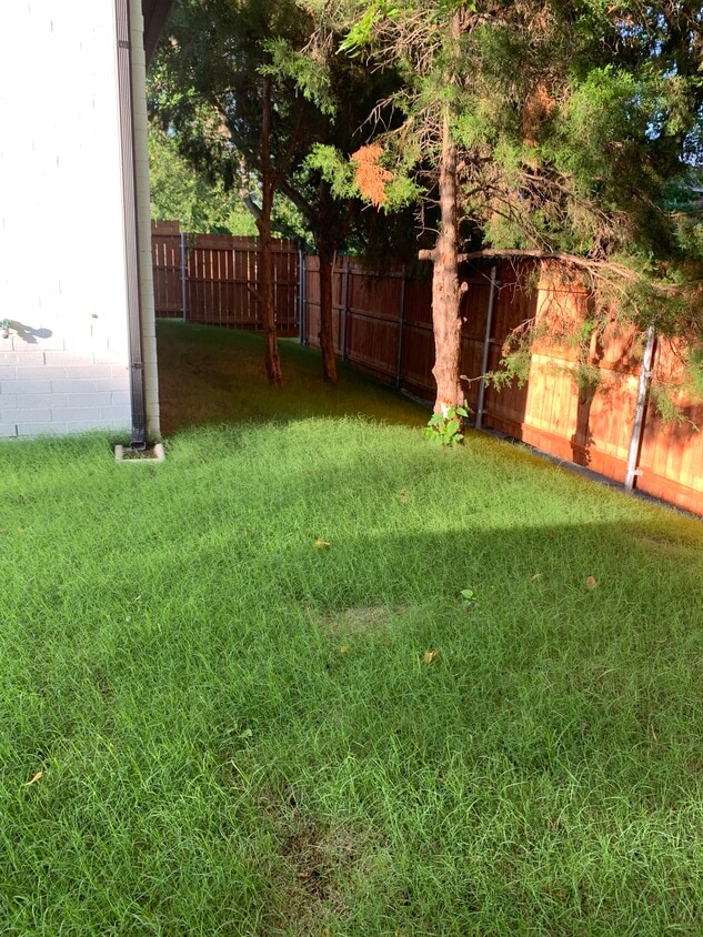 Covered backyard - 425 Bass Rd