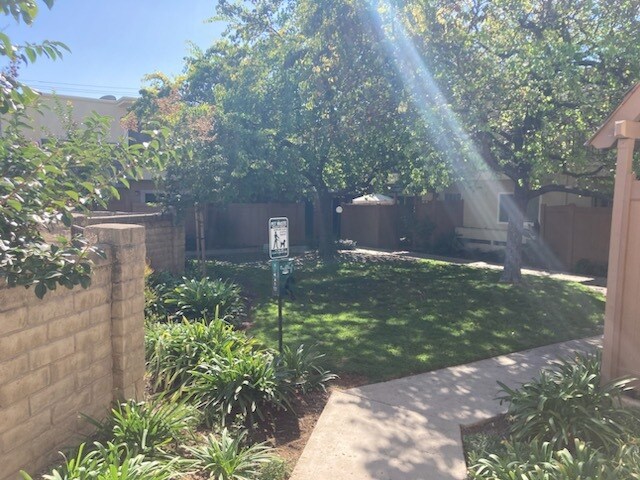 view on courtyard from front door - 138 S Bryn Mawr St