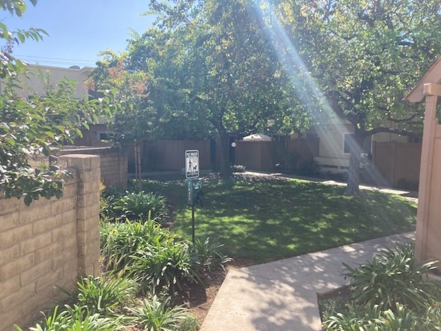 view on courtyard from front door - 138 S Bryn Mawr St