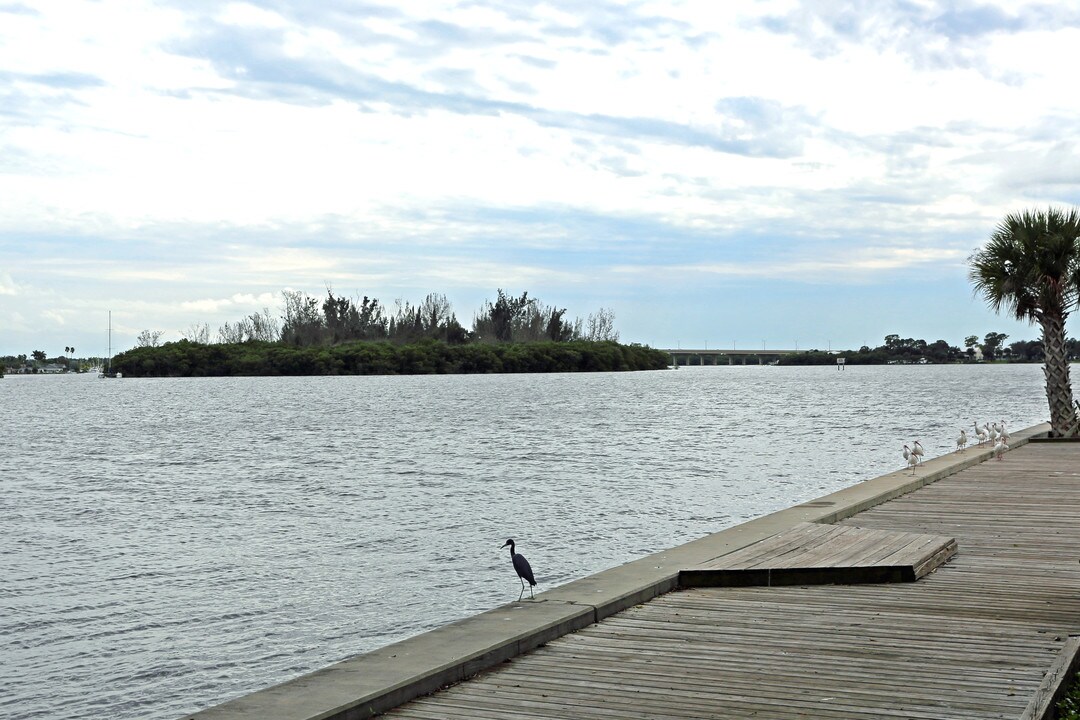 Palm City