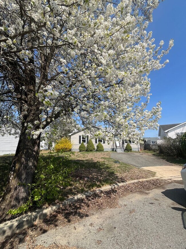 Foto del edificio - Lovely Rambler w/ 3 bedrooms