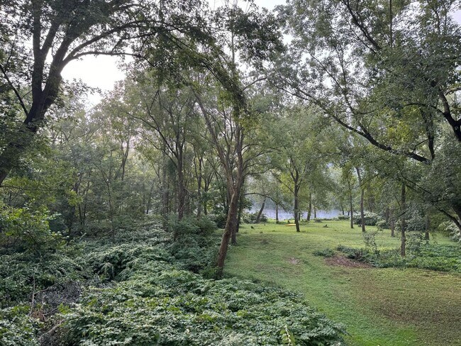 Foto del edificio - Riverfront home in a quiet spot, 3 acres, ...