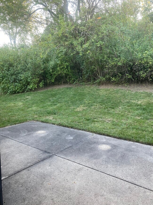 Foto del edificio - 8719 Shadycreek Dr