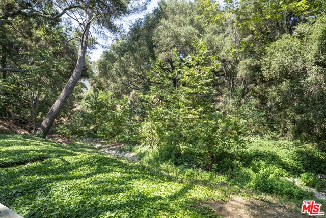 Building Photo - 539 Live Oak Cir Dr