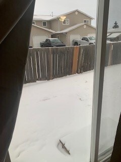 Photo du bâtiment - 8328-8392 92 Ave