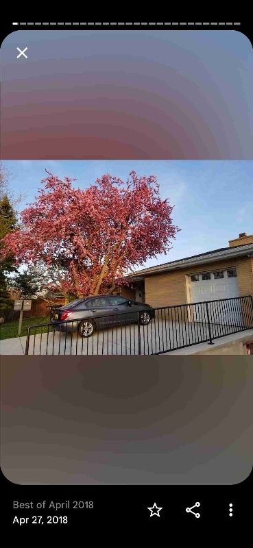 Photo - 3040 Pennsylvania Ave House