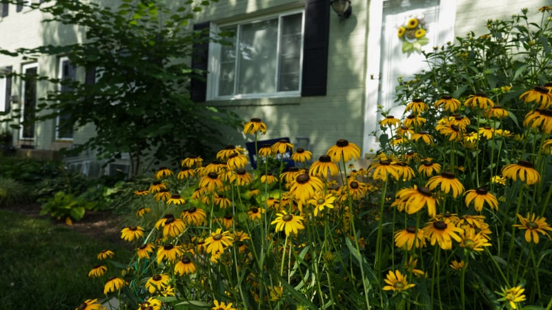 Photo - 1729 N Cliff St (Alexandria, VA)