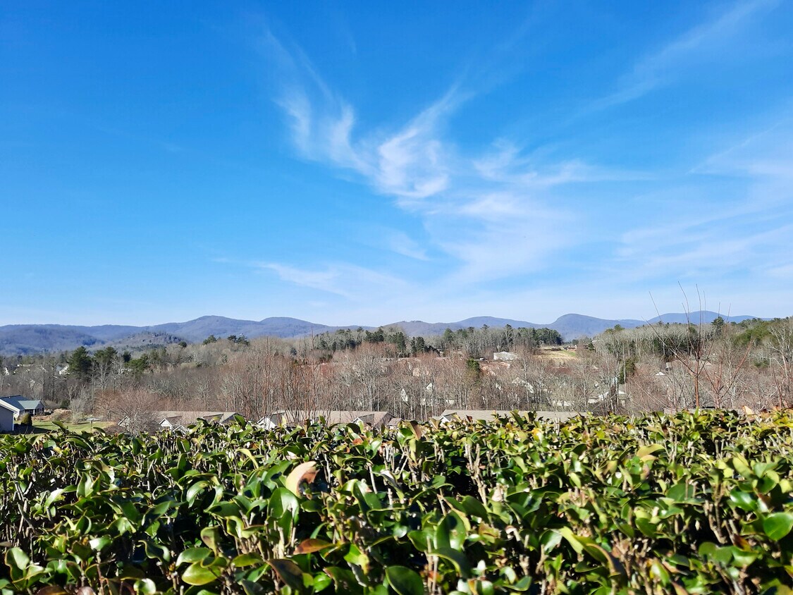 180 Degree views - 6200 Wood Duck Way