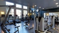This two-floor fitness facility offers a thoughtfully designed workout environment that balances functionality with modern aesthetics. The main workout area is finished with deep blue-gray walls that lend the space a sleek, energetic atmosphere, complemented by polished dark flooring that is both durable and visually cohesive.

Natural light flows generously into the space through a row of large windows along one wall, providing bright, open views to the exterior while keeping the environment feeling fresh and inviting. Recessed ceiling lighting and wall-mounted accent lights supplement the natural illumination, ensuring the space is well-lit throughout the day.

The gym is outfitted with a comprehensive range of equipment, including treadmills, elliptical cross-trainers, and various strength and resistance machines. Decorative circular mirror or speaker fixtures are mounted on the walls, adding an industrial-chic design element. The layout allows for comfortable movement between stations, supporting both cardio-focused and strength-training routines. Overall, the space presents a professional and motivating environment suited for a variety of fitness needs.
