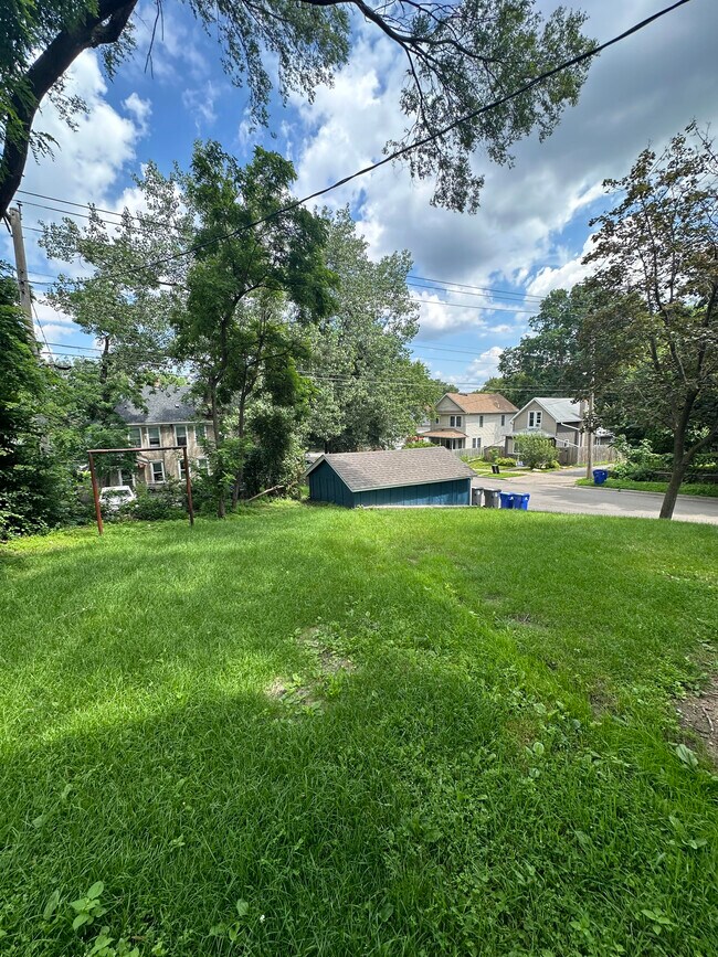 Backyard - 1115 Reaney Ave