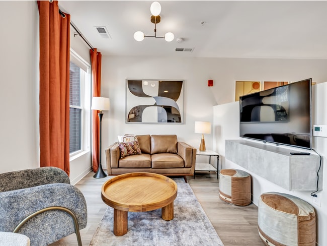 Interior Photo - Olive & Wooster