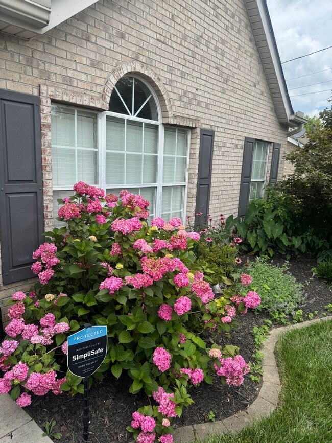 Photo - Knoxville 37918 - Beautiful 3 bedroom, 2 bath home in the heart of Powell - Contact Lisa Vineyard...