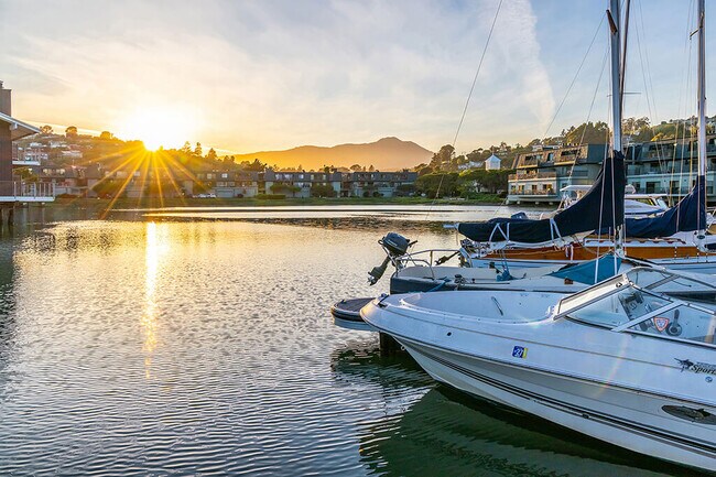 Building Photo - The Cove at Tiburon
