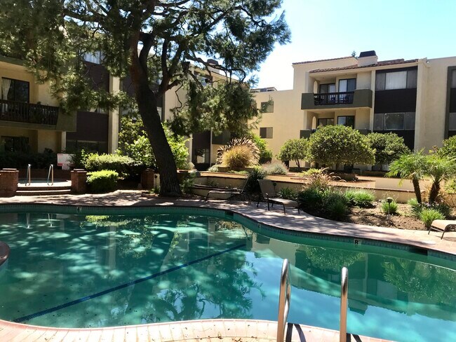 Pool and Spa - 497 E California Blvd