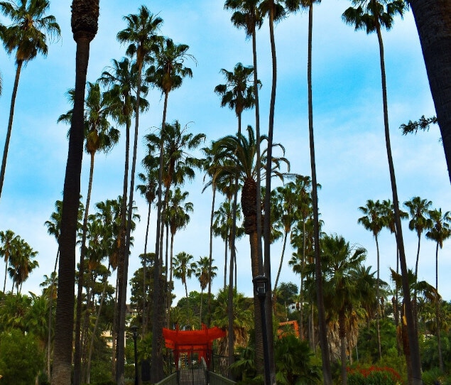 A lovely summer day at Echo Park