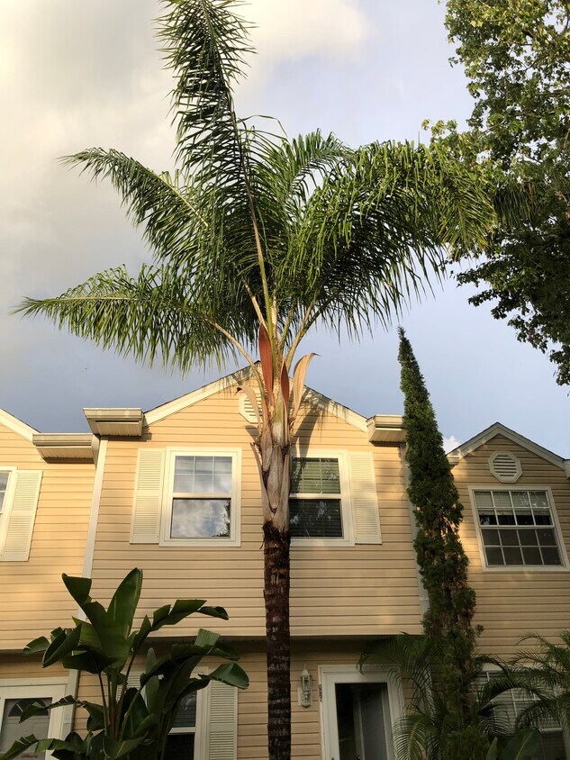 Foto principal - 8521 J R Manor Dr