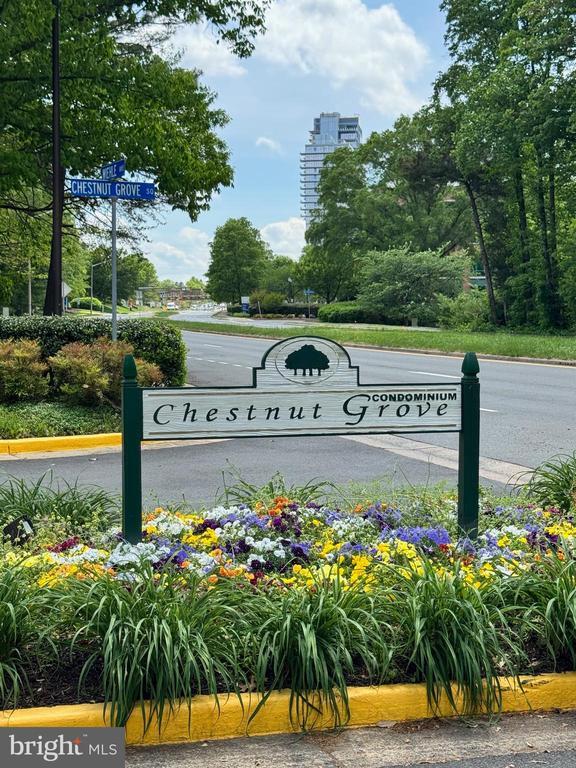 Foto del edificio - 11200 Chestnut Grove Square