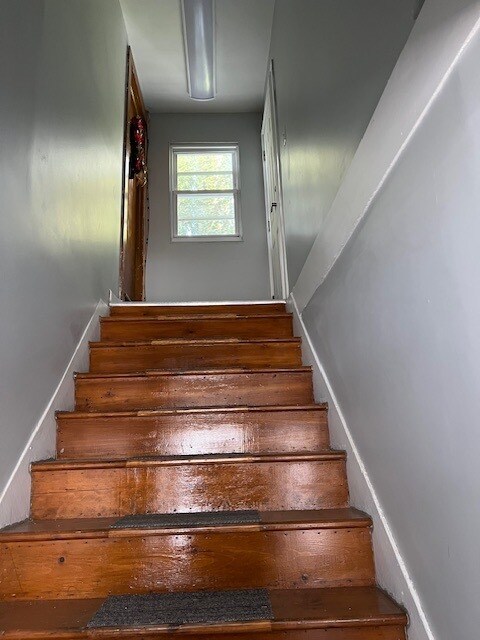 Foto del edificio - 107 Homestead St