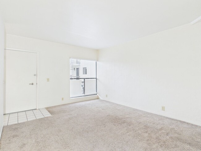 Building Photo - 1 bedroom Ocean Forest condo for rent
