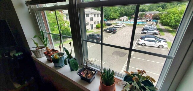 Foto del edificio - 15 Lake Shore Ct