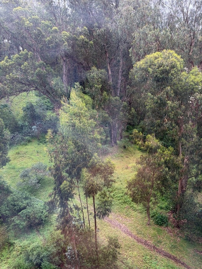 Building Photo - 555 Pierce St