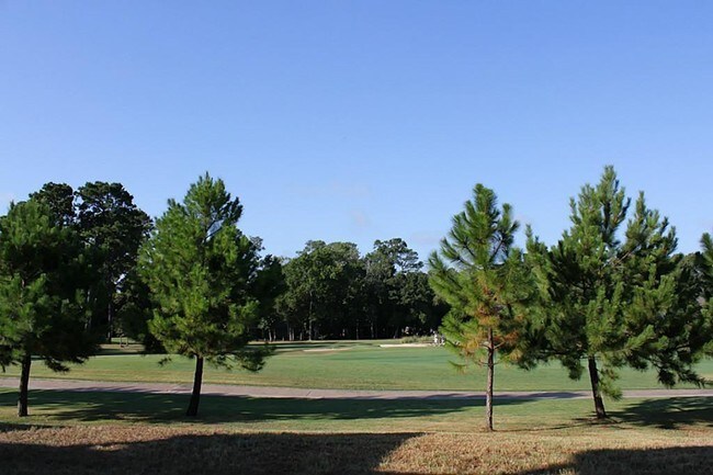 Back view - 16020 Fountainview Dr