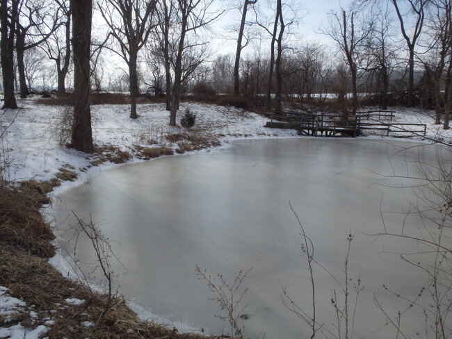 Foto del edificio - PERRYVILLE - Ranch style home on 1 Acre wi...