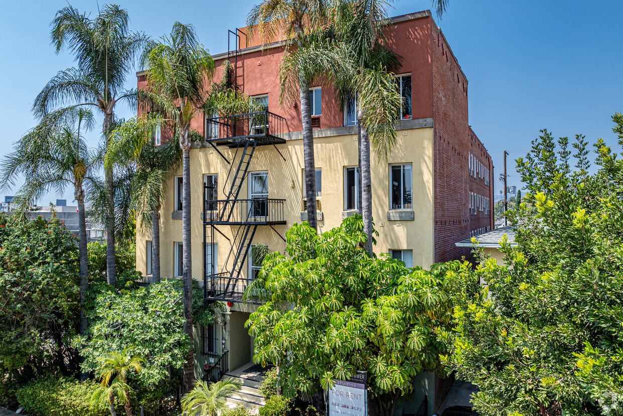 Primary Photo - Palms at Beachwood
