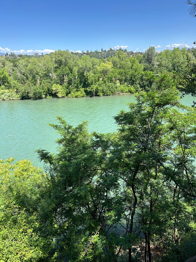 Building Photo - 1046 Continental St